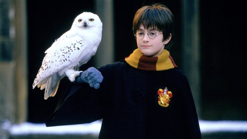 7 kända Harry Potter-karaktärer som inte är med i filmerna 