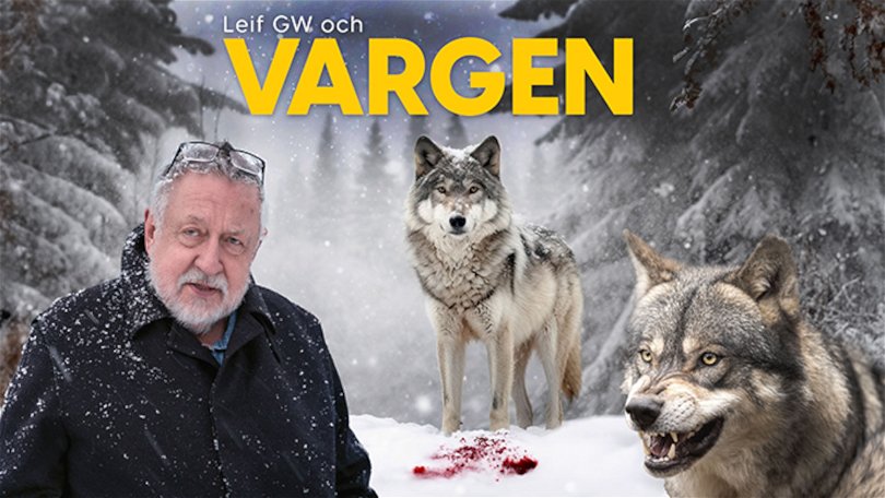 Leif GW och vargen – så blir hans nya program på TV4