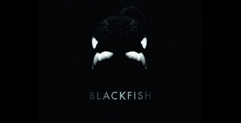 Poster för Blackfish