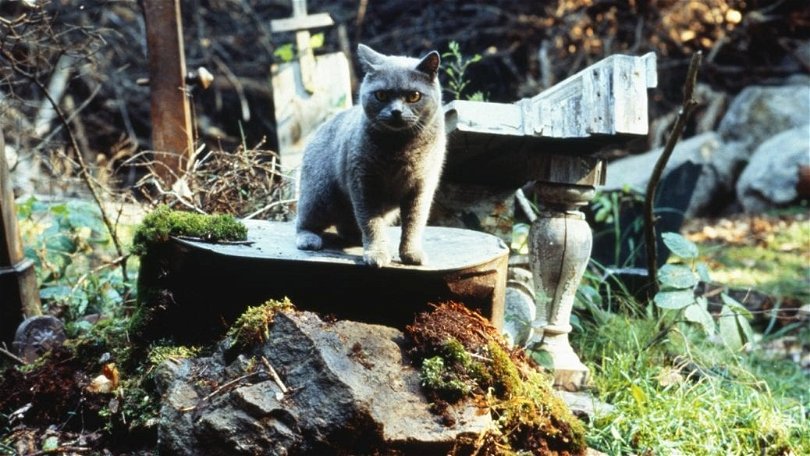 Stillbild ur Jurtjyrkogården från 1989.