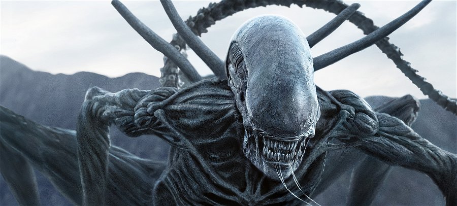 Alien och Predator – Filmserierna som tappat allt