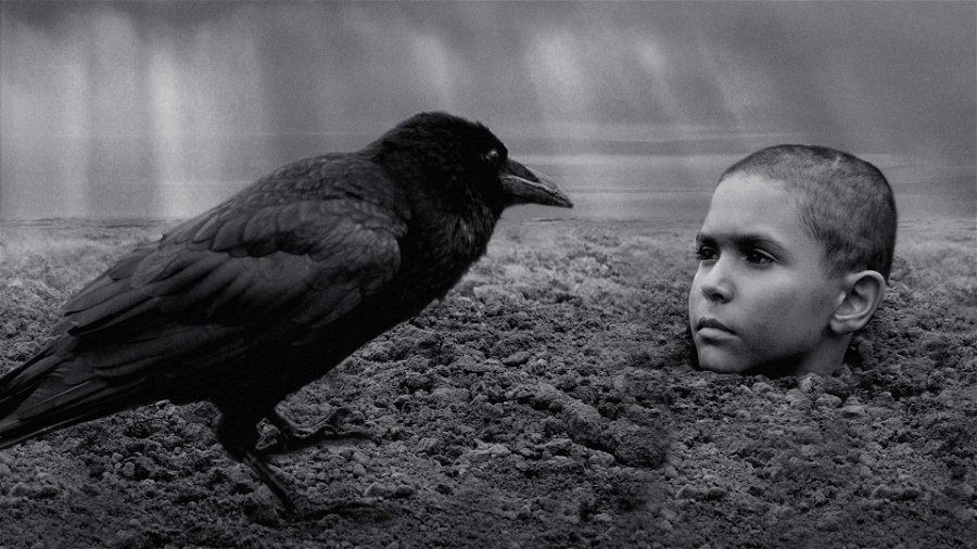 En bild på en ung pojke ur Václav Marhouls The Painted Bird, nedgrävd i marken med bara huvudet bart. En svart kråka syns i förgrunden.