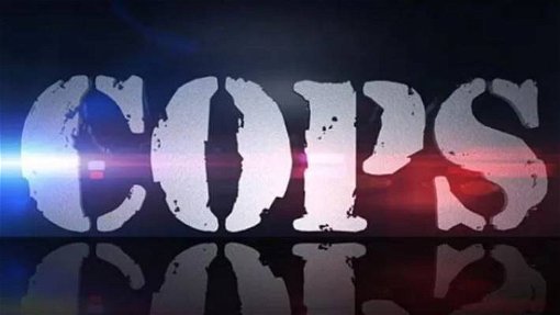 Cops läggs ned – efter 32 säsonger och 1000 avsnitt