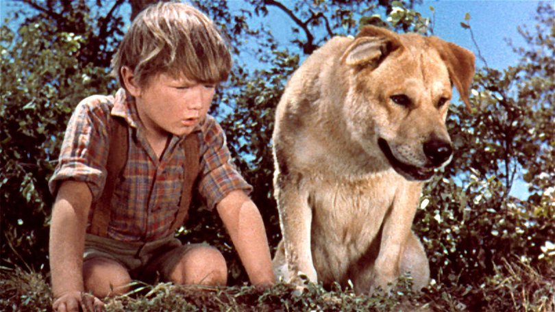 Pojken och hans hund, bästa vänner i filmen Old Yeller