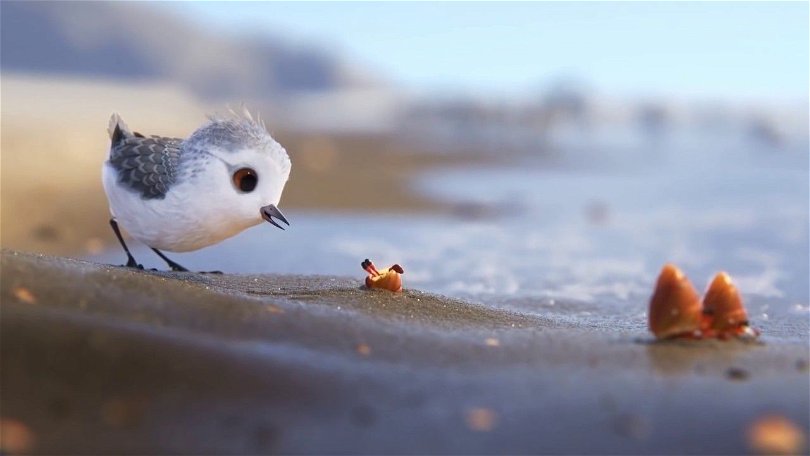 Den söta lilla fågeln på äventyr i kortfilmen Piper