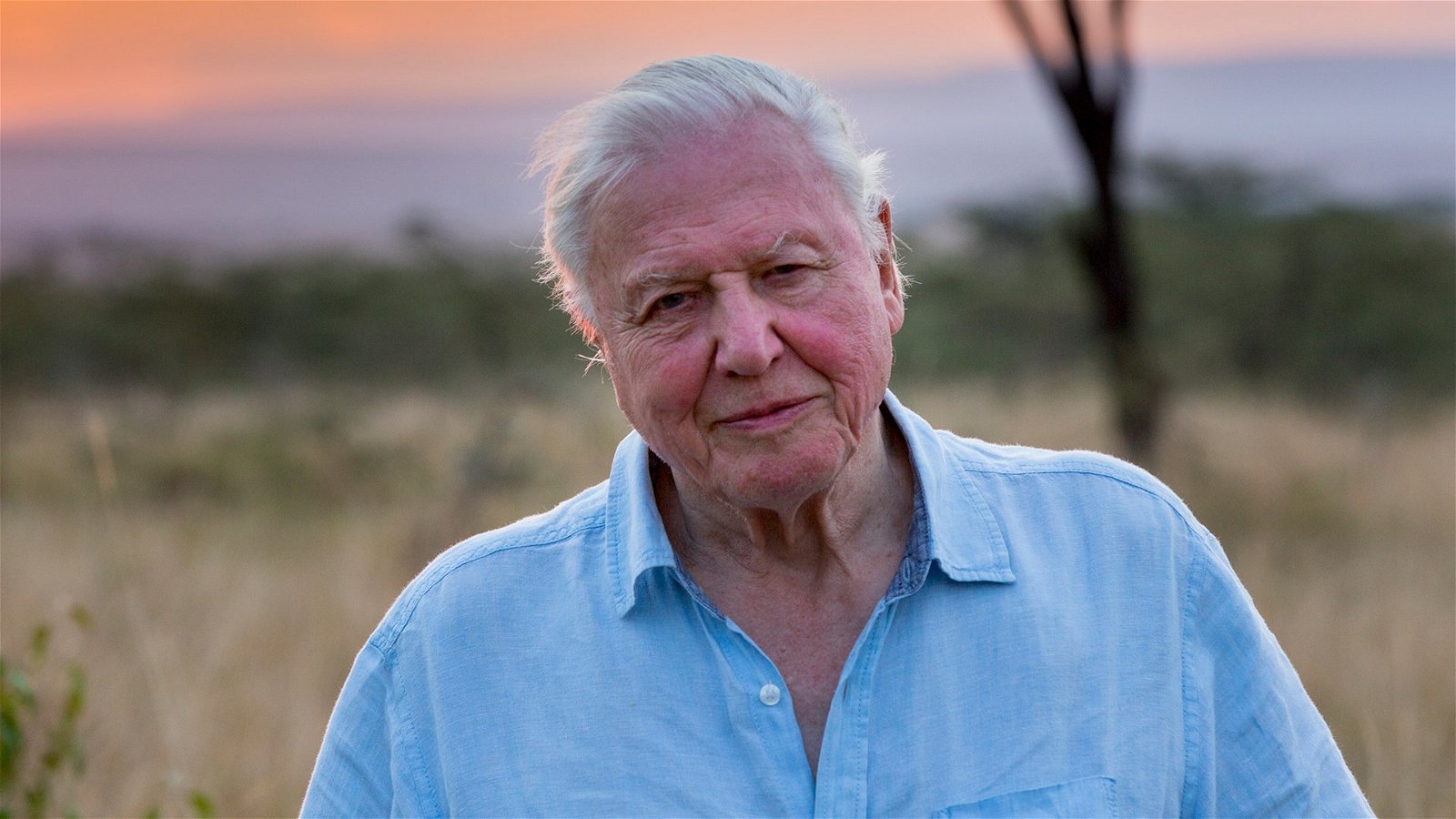 Sir David Attenborough: "Anitvaxxare är en ignorant minoritet"