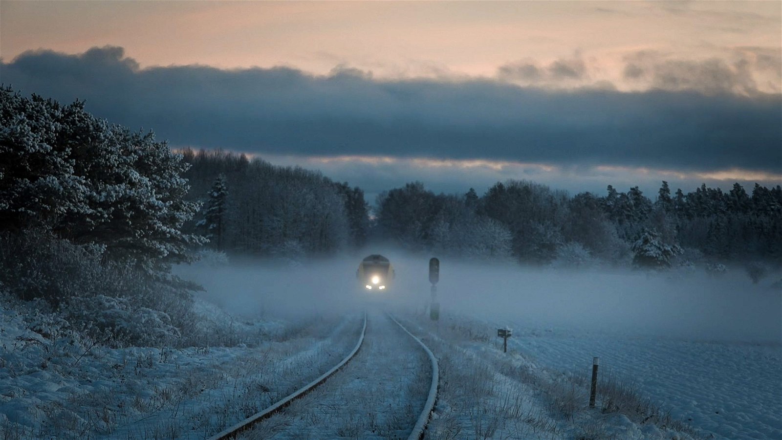 Ett tåg närmar sig i dimman.