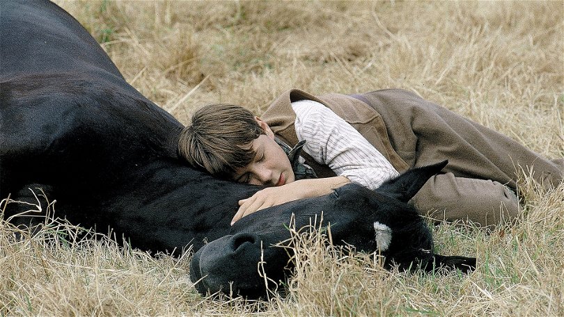 11 bra filmer om hästar – tips på hästfilmer: Black Beauty