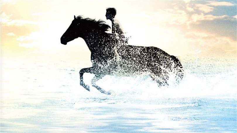 11 bra filmer om hästar – tips på hästfilmer