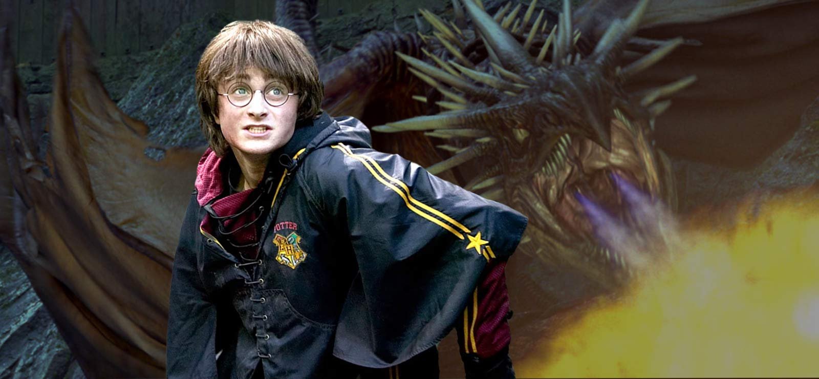 Hade du koll på den svenska Harry Potter-draken?