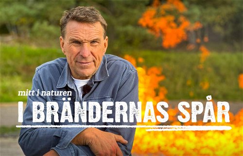 Här är Anders Lundins nya program på SVT