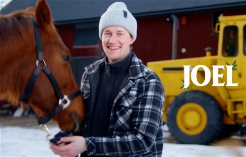 Det här är hästbonden Joel i Bonde söker fru 2023 på TV4