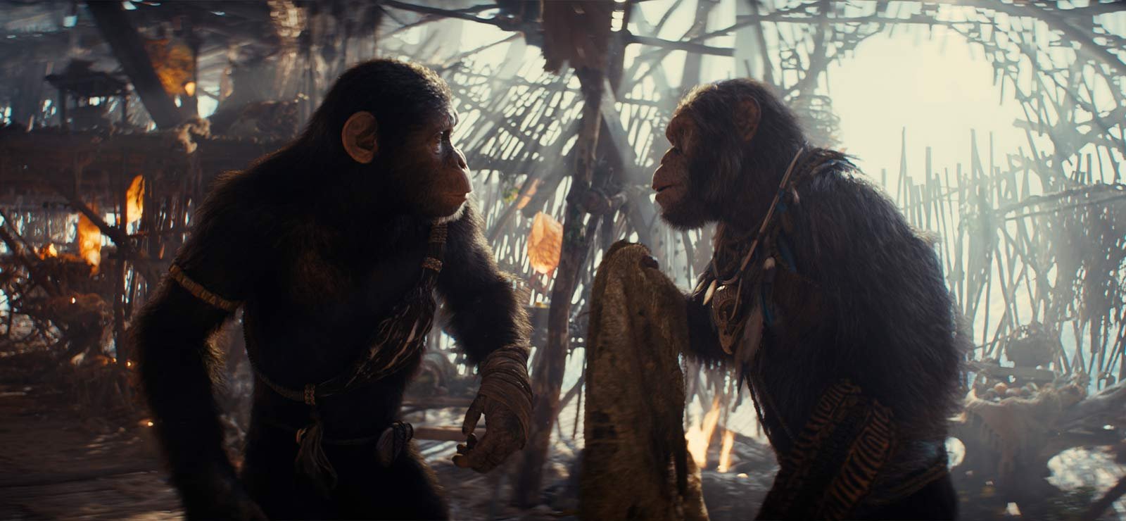 Planet of the Apes-franchisen fortsätter – ny bild från kommande filmen