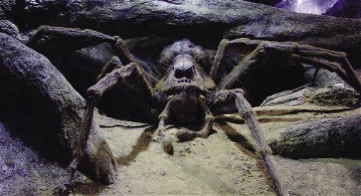 Aragog spindel harry potter