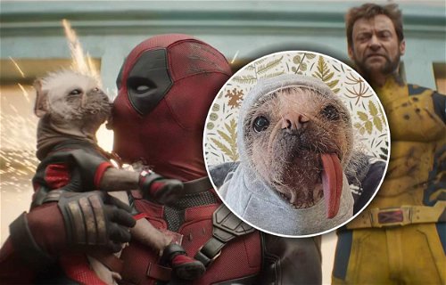 Fulaste hunden i Storbritannien – oväntad stjärna i Deadpool & Wolverine